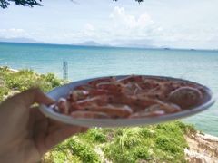 -七鲜渔港美食餐厅(巽寮湾海景店)