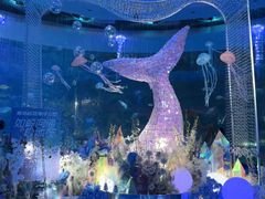 -海合安青岛极地海洋公园