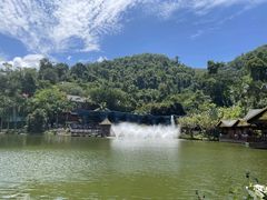 -西双版纳原始森林公园