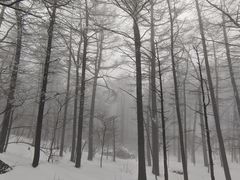-崂山巨峰游览区