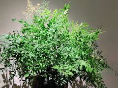 -山里亲戚(淞虹路店)