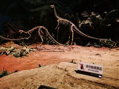 -自贡恐龙博物馆