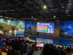 -华夏文旅海洋公园