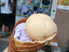 -成裕雪糕店(士多店)