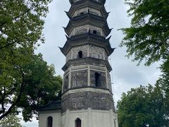 -苏州上方山国家森林公园