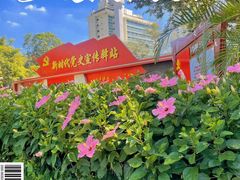 -洲头咀公园