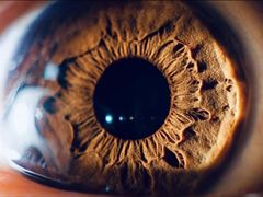 -中山夏威夷游泳馆(小榄店)