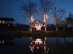 -长田漾湿地公园