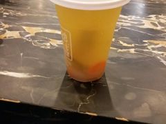 -1828王老吉·草本新茶(珠江新城地铁站店)