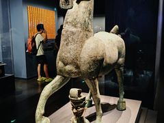 -广西壮族自治区博物馆