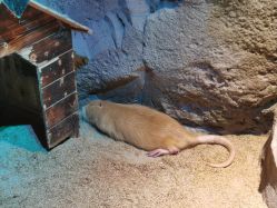 -酷嗒动物文化乐园(cutezoo西溪乐天城店)