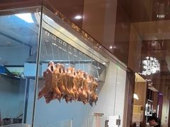 -日日香卤鹅饭店·澄海狮头鹅(澄海店)