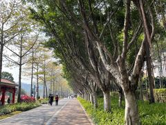 -顺峰山公园