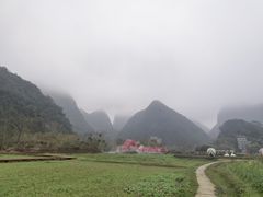 -靖西鹅泉风景区