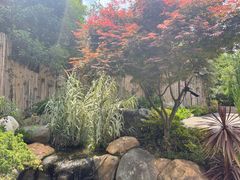 -七彩云南古滇温泉山庄