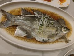 -刘胖子家常菜·蹄花焖藕(中南店)