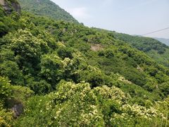 -阳台山自然风景区