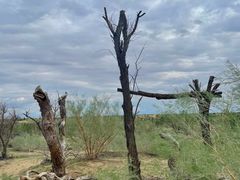 -亿利库布其七星湖沙漠生态旅游区