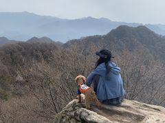 -抱龙峪