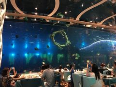-瑞德姆美人鱼海底演艺主题餐厅(亚龙湾店)