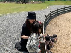 -前小桔亲子创意农场·草莓采摘·露营烧烤
