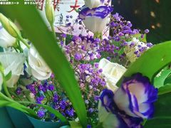 -肆季·鲜萃果粒汁