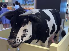 -红星前进面包牛奶公司(君太店)