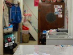 -洪馨椰子