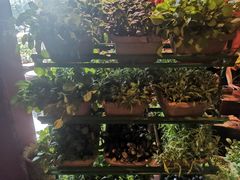 -大匠工房古船木艺术餐厅·猪肚鸡专门店(长白仙岛店)