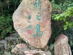 -江心屿景区