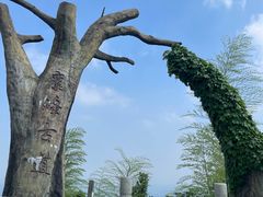 -长沙黑麋峰国家森林公园