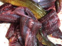 -铜元老码头鳝鱼火锅