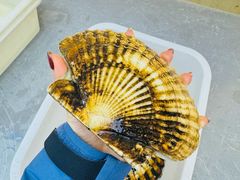 -本达人海鲜烧烤·朝鲜族风味(发展店)