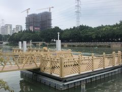 -光明港公园