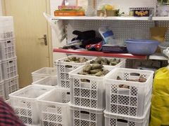 -璐坊粽王(复兴中路店)