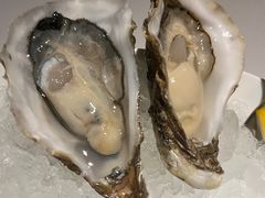 -Oyster Talks 四度蚝法餐厅