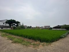 -枫林花海