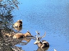 -沈阳森林动物园
