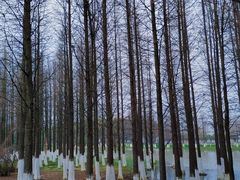 -艾溪湖湿地公园