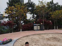 -铁山坪森林公园