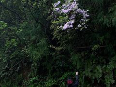 -宁波五龙潭景区