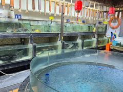 -渔乐里(智荟城店)