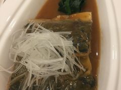 -一本钓鲔鱼屋