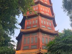 -房湖公园