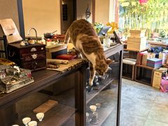 -子霖南山鲜虾面(南山总店)