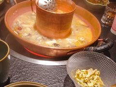 -菌自由丨野生菌火锅特色庭院餐厅(丽江古城店)