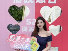 -幻彩摩天轮