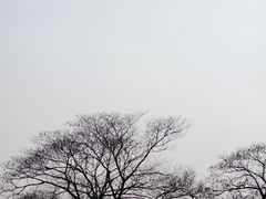 -蠡湖大桥公园