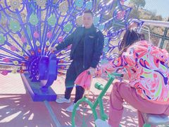 -密云玫瑰情园