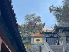 -千佛山风景名胜区